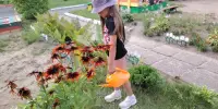 Труд в природе летом