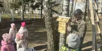 Наши пернатые соседи